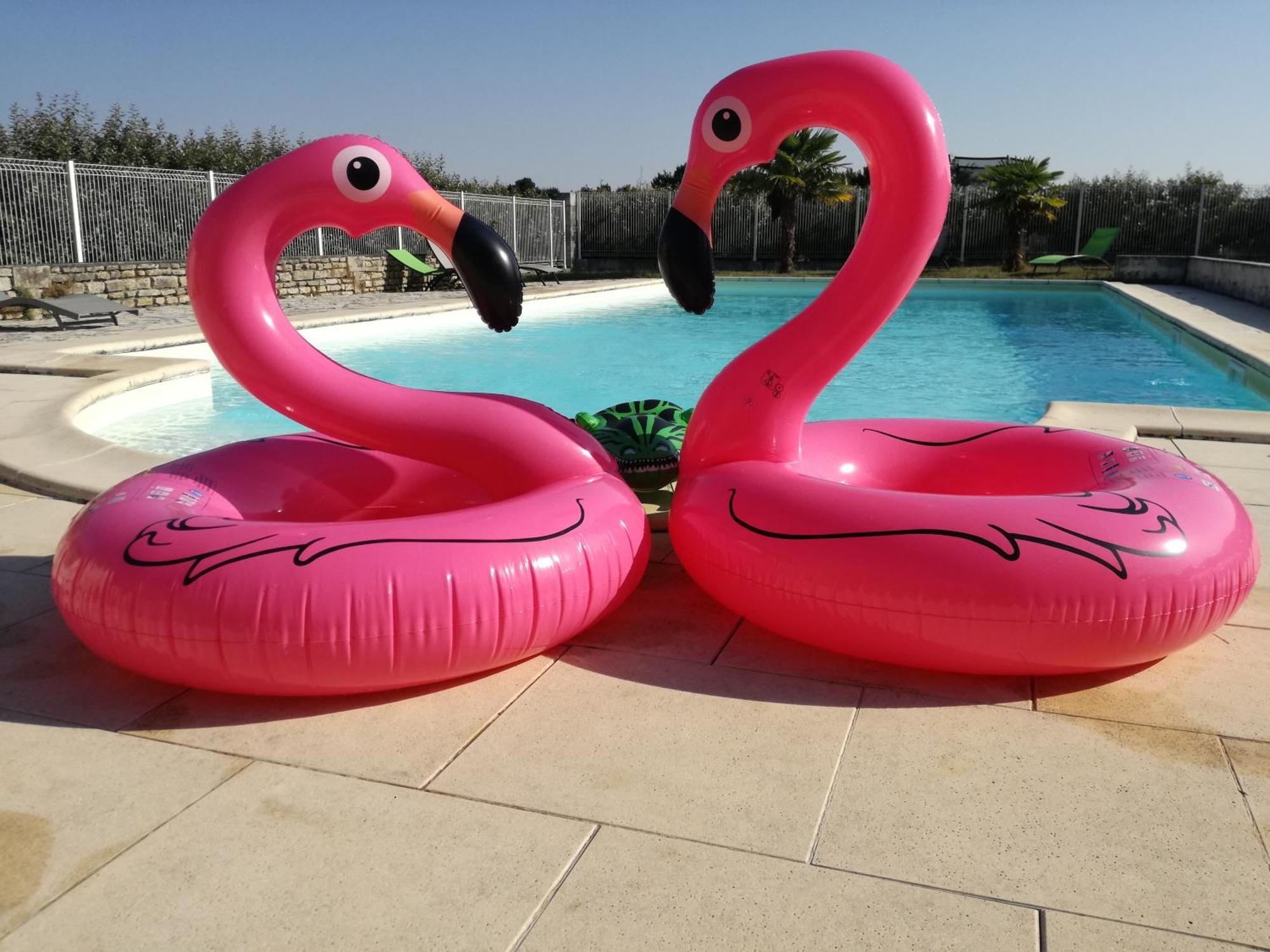Domaine De La Laigne -